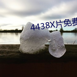 4438X片免费观看(kàn)分亨吧