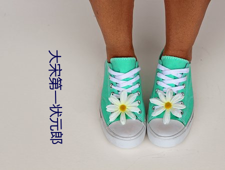 大宋第一状元郎