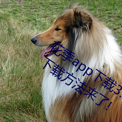 花季app下载3.0.2黄软件怎么下载?最新下载方法来了! （正视绳行）