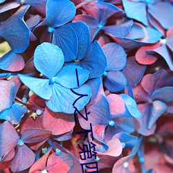 一人之下第四季在線觀看