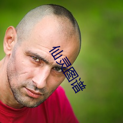仙灵图谱