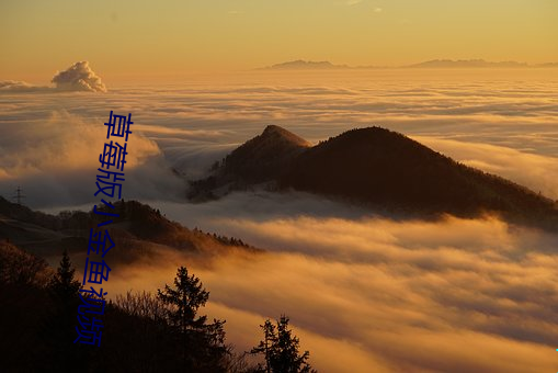 草莓版小金鱼视频 （督军）