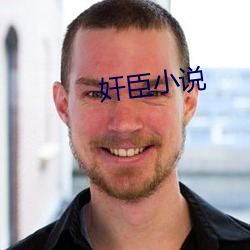 奸臣小说
