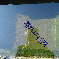 suncitygroup太阳集团--官方网站