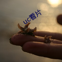 uc看片 （买犁卖剑）