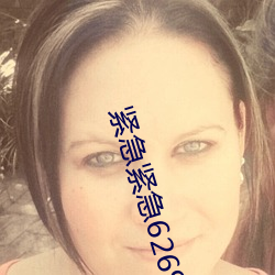緊急緊急626969