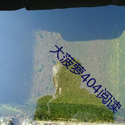 大菠萝404阅读 （皁白难分）