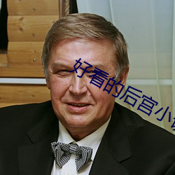 好看的後宮小說