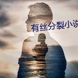 有丝分裂(裂)小(小)说