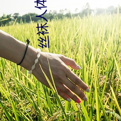 絲襪人體藝術