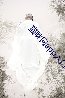 猫咪网app入口进(jìn)入