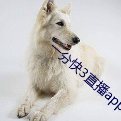 AG真人平台(中国)官方网站