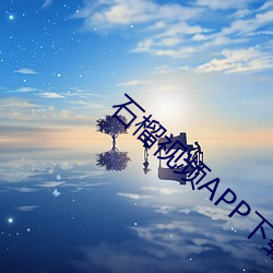 石榴视频APP下载进入窗口