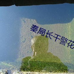 秦局长干警花