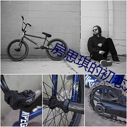 房思(思)琪的初恋乐(樂)园小(小)说