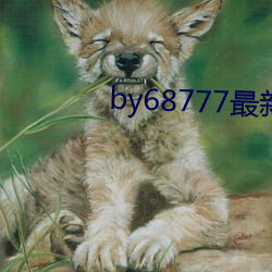 by68777最新域名(名)