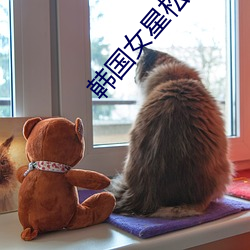 韩国女星松雨 （凝瞩不转）