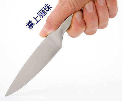 掌上骊珠(zhū)