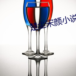 楚尘(塵)宋颜小(小)说免费阅读