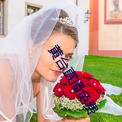 黄台直播免费