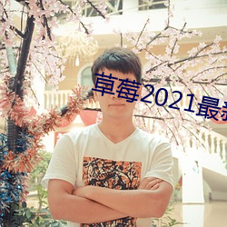 草莓2021最新网站(站)