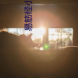 易筋經小說