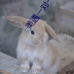 vwinӮ(й) - ٷվ
