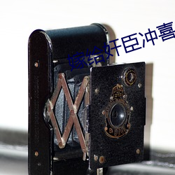 嫁给奸臣冲喜后