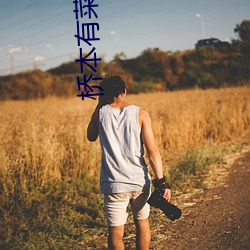 桥本(běn)有菜(cài)观看