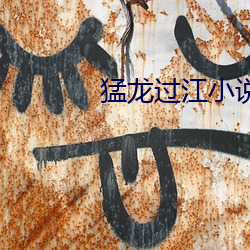 猛龙过江(jiāng)小说