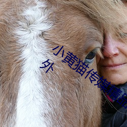小黄猫传(傳)媒精品入口(口)人气攀升?网友:不料(意)外(外)