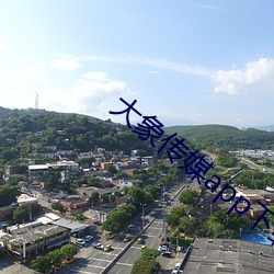 大象传媒app下载 （七青八黄）