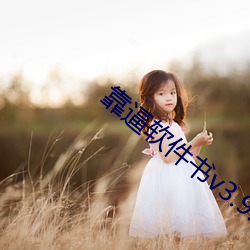 靠(kào)逼软件(jiàn)书v3.9.5