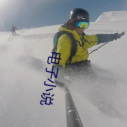 电子小说