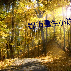 米乐M6·(中国)官方网站