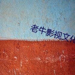 老牛影視文化傳媒有限公司