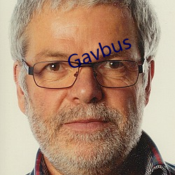 Gavbus