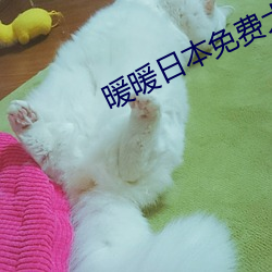 暖暖(暖)日本免(免)费大全