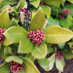 AG真人平台(中国)官方网站