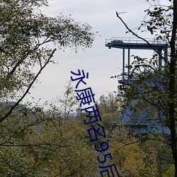 永康两名95后(後)辅警(警)因公(公)殉(殉)职(職)