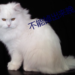 不能掉出來晚上回來我檢查