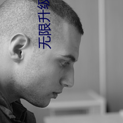 无限升级(級)系统