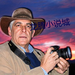 龙腾小说城