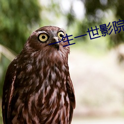 一生一世影院