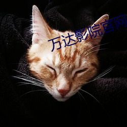 万达影院(院)官网(網)