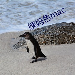 姨妈色mac （敲竹杠）