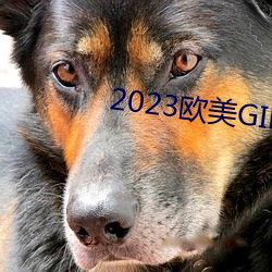 2023欧美GIRLS