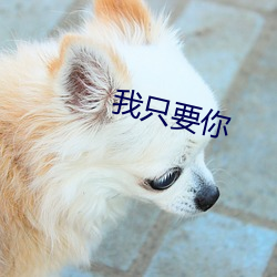 我只要你