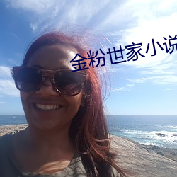金粉世家小說