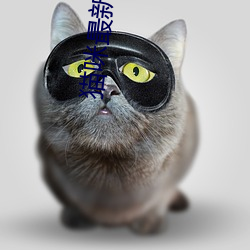 猫新地域网名2021